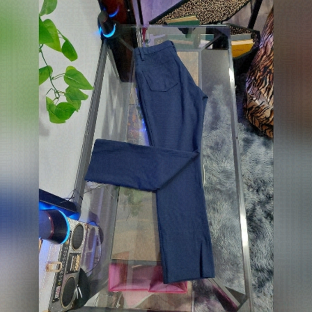 Santana Womens Navy Blue Pants Size 10 ( 30W )